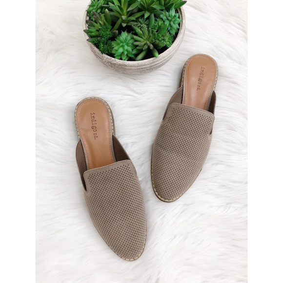 indigo rd mules
